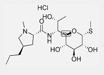 Lincomycin hydrochloride